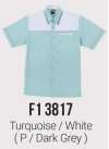 Oren 65% Polyester - 35% Viscose F138 Customied Industrial Uniform