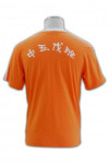T173 cheap t-shirt maker t-shirt printing design