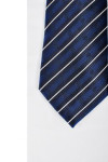 TI137 Customize Blue Tie