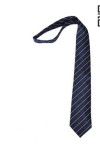 TI137 Customize Blue Tie