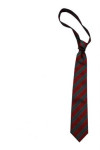 TI146 Customize Nice Neckties