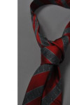 TI146 Customize Nice Neckties