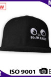 HA251 Cute Eyes Cap