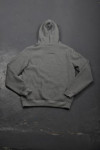 Z301 Grey Hoodie Singapore Meaning