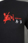 T991 T991 Sample custom order men's T-shirt 