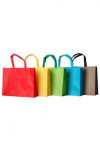 SKEPB007 non-woven environmental protection bag